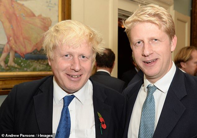 'I’ve been torn between family loyalty and the national interest' Boris Johnson's brother resigned