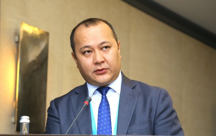 Cooperation within the framework of Turkic integration may open up new opportunities TurkPA chief says