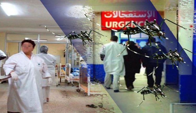 بعوضة النمر تدخل 4 آلاف جزائري إلى المستشفيات