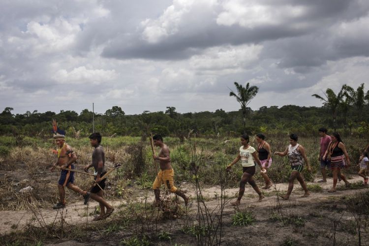 'This is paradise, Amazon is my mother' Daily life of Amazon Tembe tribe
