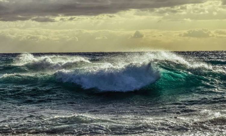 Can oceans turn the tide on the climate crisis?