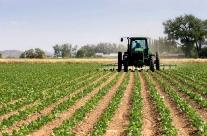 Azerbaijan’s flourishing farming sector needs support for smallholders <span class="text-danger">says UN food expert</span>