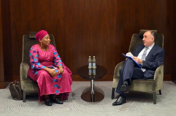 Azerbaijan is interested in deepening cooperation with African Union Azerbaijani FM says