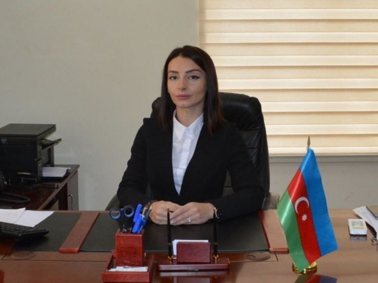 الخارجية: ما هي الاستراتيجية التي يتحدث عنها رئيس الوزراء الأرميني في ظل وجود مخاطر تفاقم حدة التوتر كل آن؟