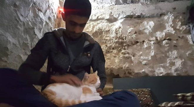 بلدة سورية تفوق أعداد القطط تعداد سكانها