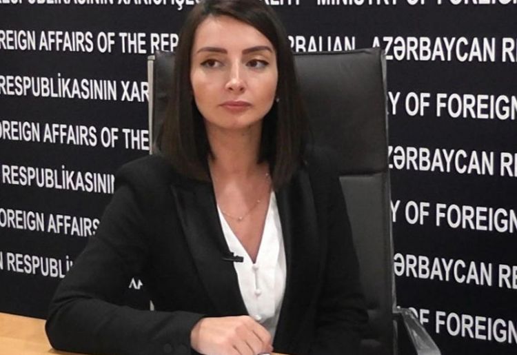 ليلى عبدالله ييفا: ليست  لدى أذربيجان أي تعهدات أمام البرلمان الأوروبي