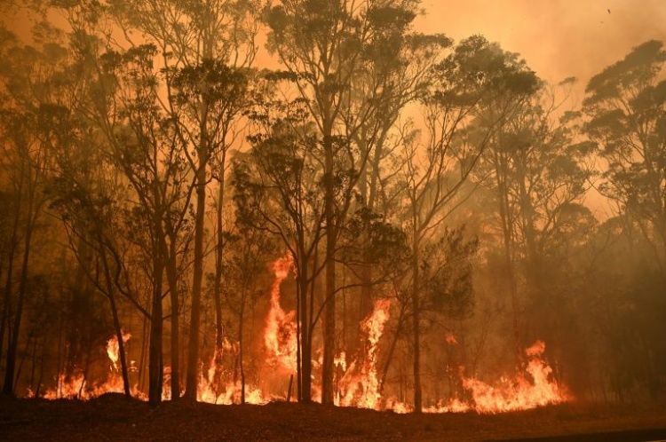 $500,000 for bushfire forecast project from Australian scientists