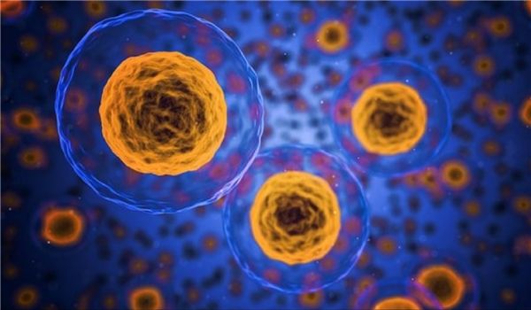 الكشف عن أحدث علاج عالمي لسرطان البروستاتا في إيران