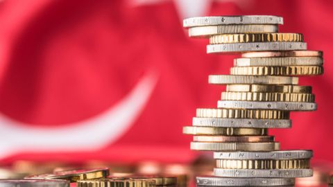 Turkey’s new economic model and future projection