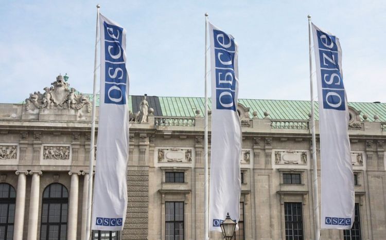 OSCE Permanent Council to hold special meeting in Vienna