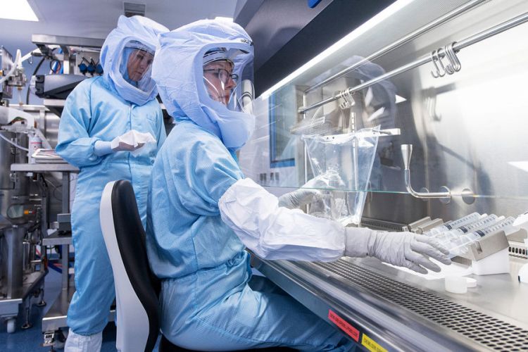 Ученые из США нашли мощные антитела, нейтрализующие «омикрон» и «дельту»