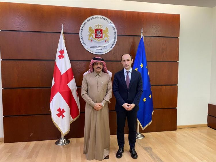 نائب رئيس وزراء جورجيا يجتمع مع سفير دولة قطر
