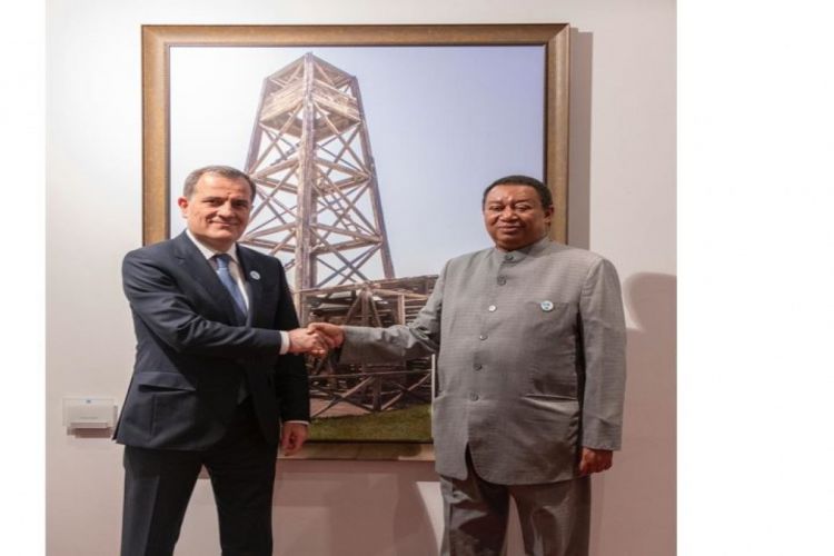 Azerbaijani Foreign Minister met with OPEC Secretary General