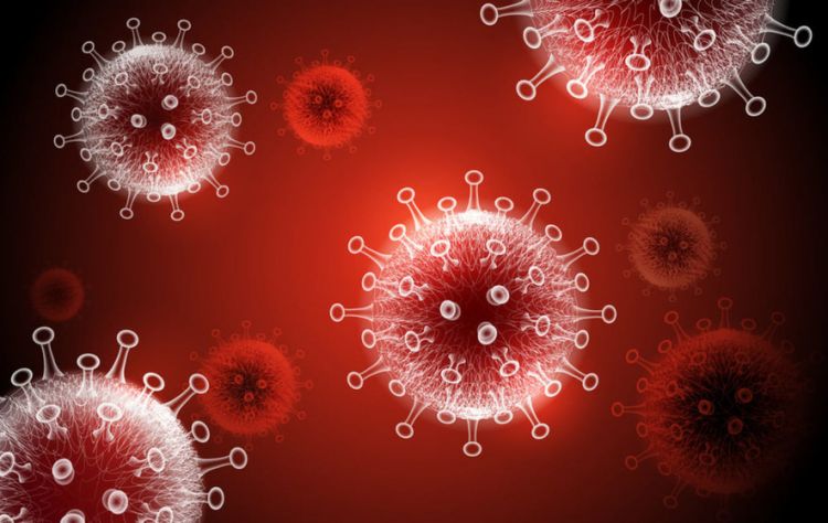 Poland hits record number of daily Covid infections