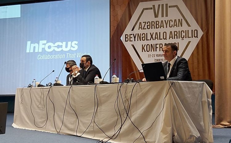 В Исмаиллы проходит VII Азербайджанская международная конференция по пчеловодству