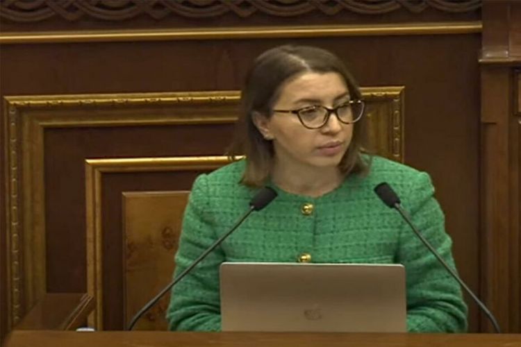 Парламент Армении избрал нового омбудсмена