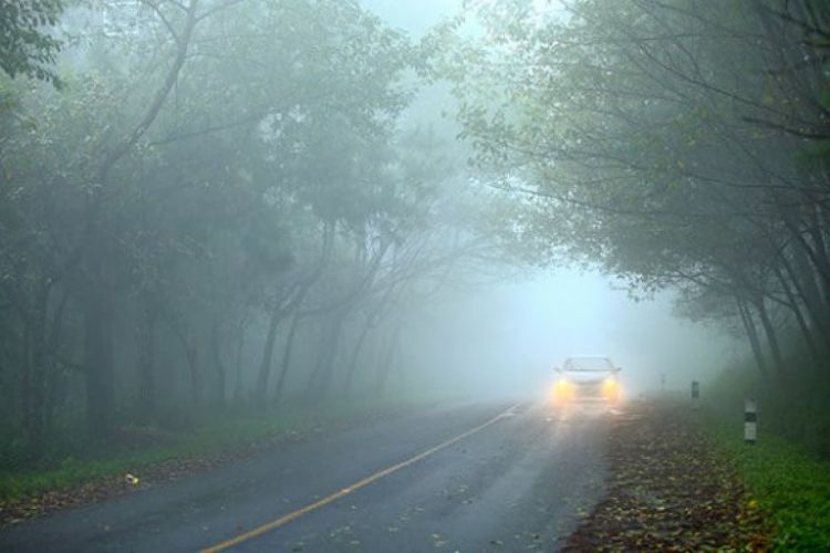 Завтра на некоторых дорогах в Азербайджане ожидается гололед и туман
