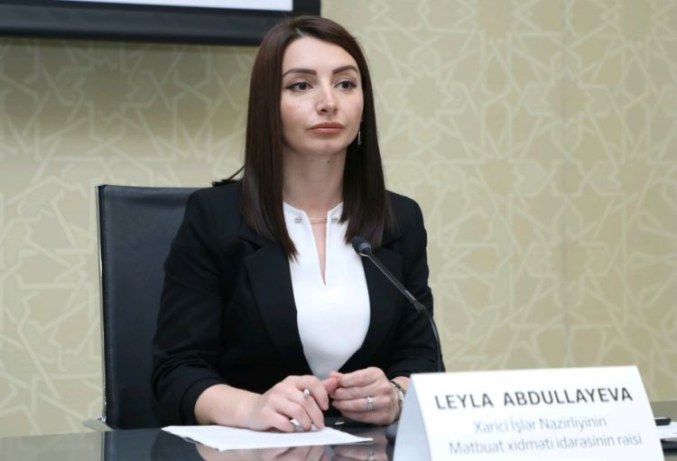 Leyla Abdullayeva Ermənistan xarici işlər nazirinə cavab verib