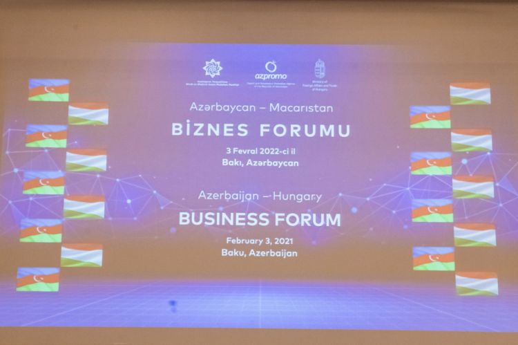 Bakıda Azərbaycan-Macarıstan biznes forumu keçirilib