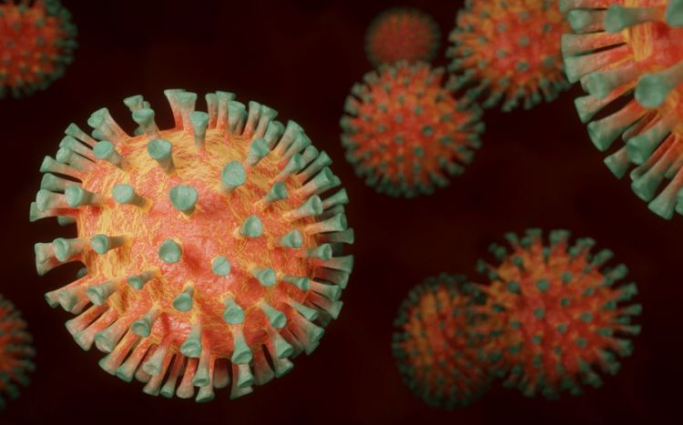 Новые штаммы коронавируса будут менее патогенными вирусолог