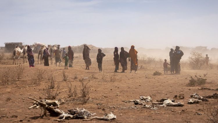 13 million face hunger as Horn of Africa drought worsens UN
