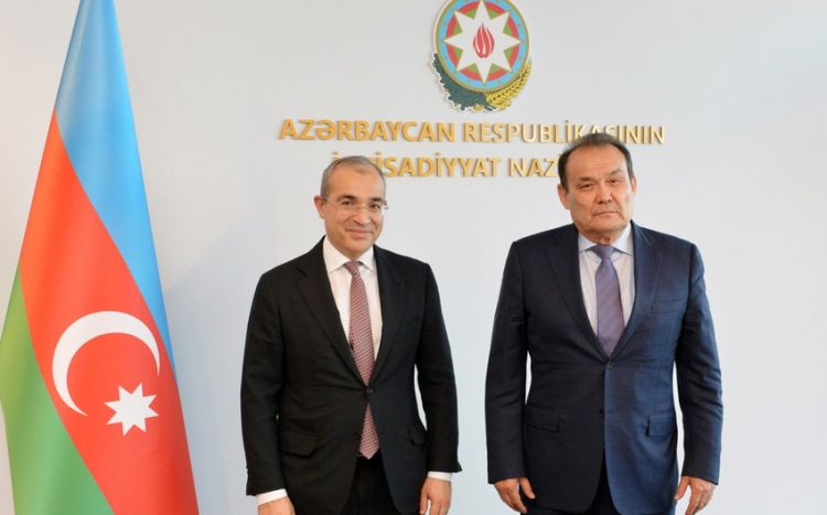 Azerbaijan expanding co-op with Pan-Turkic organization members Minister