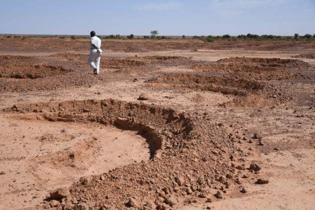 13 مليون شخص في القرن الأفريقي يعانون من الجوع الشديد بسبب الجفاف