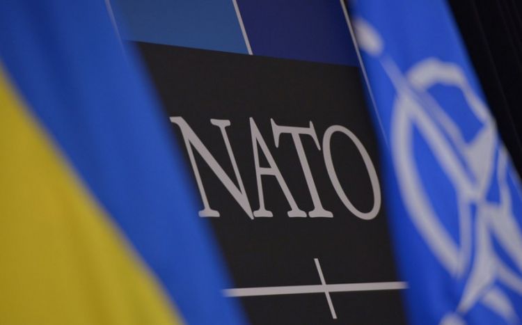 Украина запросила помощь НАТО