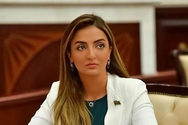 Könül Nurullayeva: “Moskva Bəyannaməsi regionda gedən son proseslərlə əlaqələndirilə bilməz”