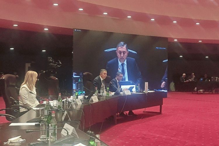 Таир Миркишили в Ереване вновь избран председателем Комитета ПА Евронест
