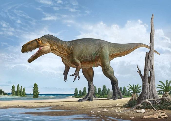 İnsan DNT-də dinozavrların dövrünə aid virus aşkar edildi