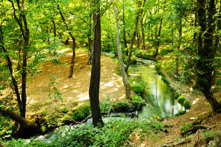 В Азербайджане будут созданы новые национальные парки