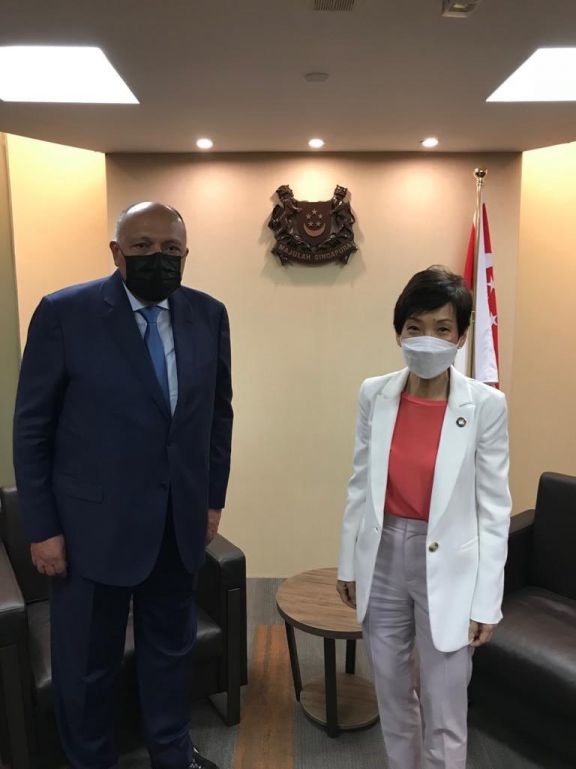 شكري يعقد مباحثات مع وزيرة الاستدامة والبيئة في سنغافورة