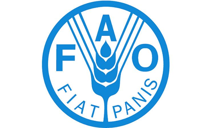 "Мировые цены на продовольствие могут повыситься до 22%" FAO