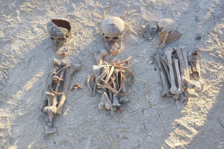 В селе Фаррух обнаружено захоронение с человеческими останками