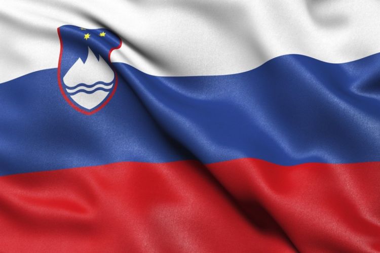 Посольство Словении на Украине лишилось флага из-за сходства с российским триколором