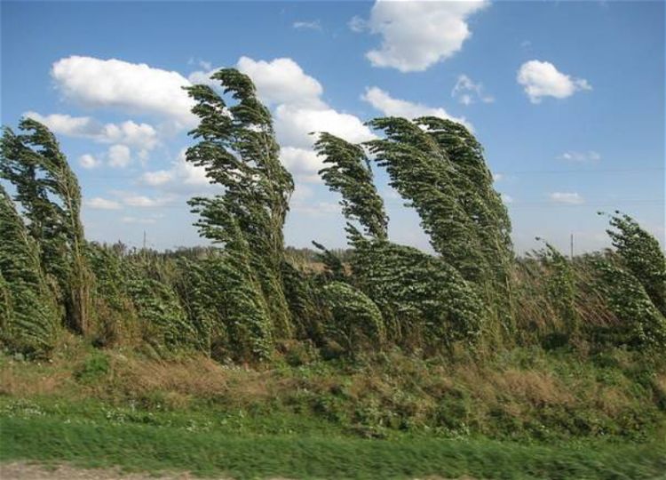 Синоптики предупредили об усилении ветра в Азербайджане