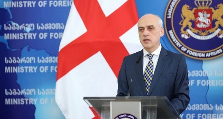 Глава МИД Грузии ушел в отставку