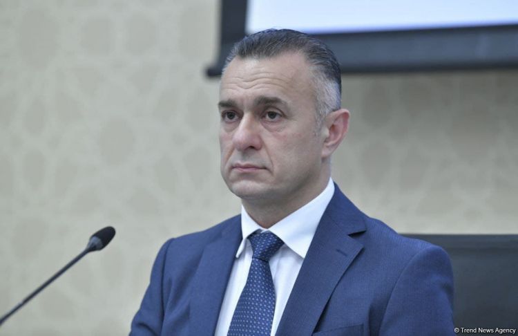 "Продолжается экспертиза найденных в Карабахе останков" Министр