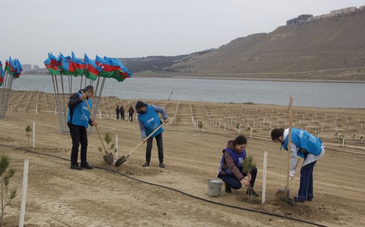 В Ходжасане прошла акция по посадке деревьев "Зеленый марафон"