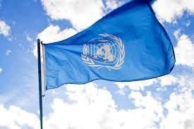 UN elects Georgia as member of NGO Committee