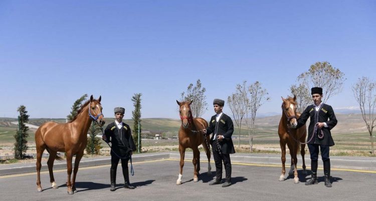 В Агдаме построят Карабахский конный завод