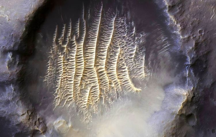 Marsda yeni görüntülər qeydə alındı Ayrı dünyadan xəbər var?