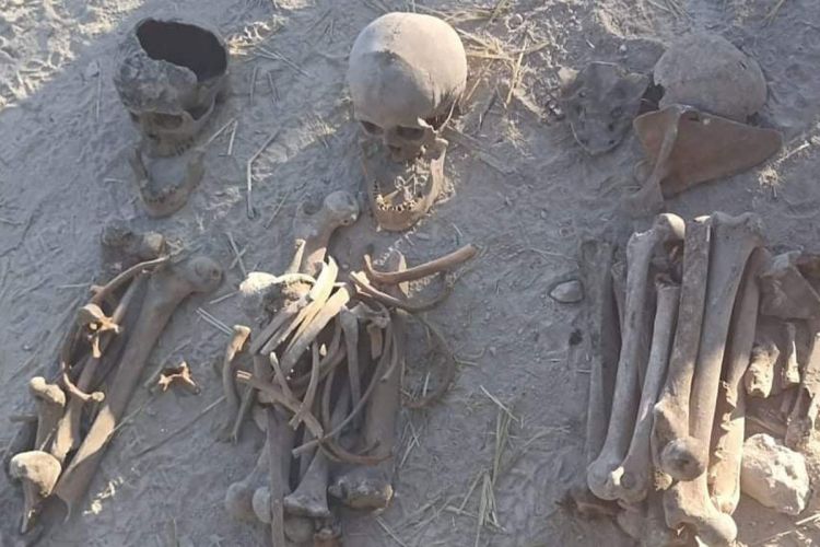 Экспертиза останков тел, найденных на высоте Фаррух, доказывает их принадлежность к азербайджанцам Комиссия