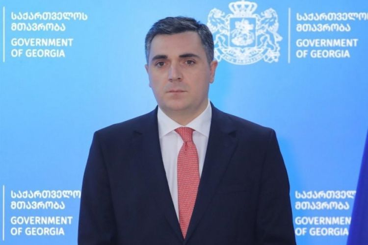Министр иностранных дел Грузии посетит Азербайджан