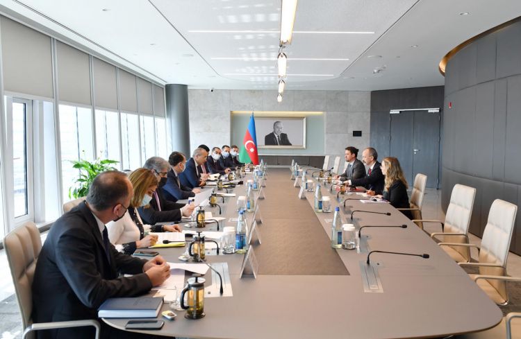 Azerbaijan, OECD eye further joint projects
