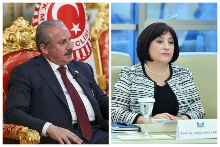 Сахиба Гафарова и Мустафа Шентоп обсудили подготовку к предстоящему заседанию ПА ОЭС в Баку