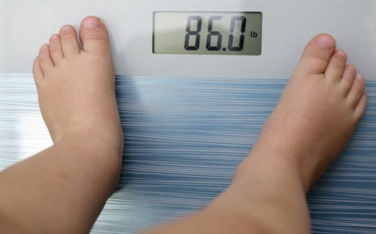 В Азербайджане почти 30% процентов подростков 11 лет имеют избыточный вес ВОЗ