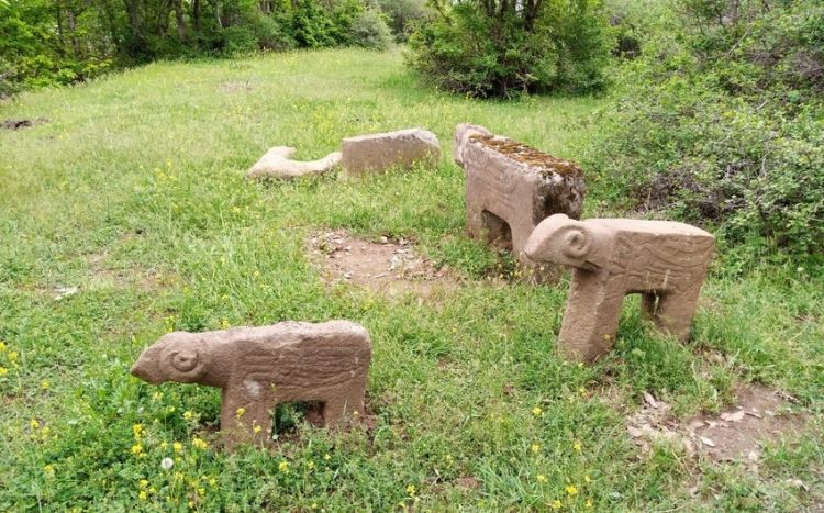 Впервые в Азербайджане обнаружены каменные фигуры быков