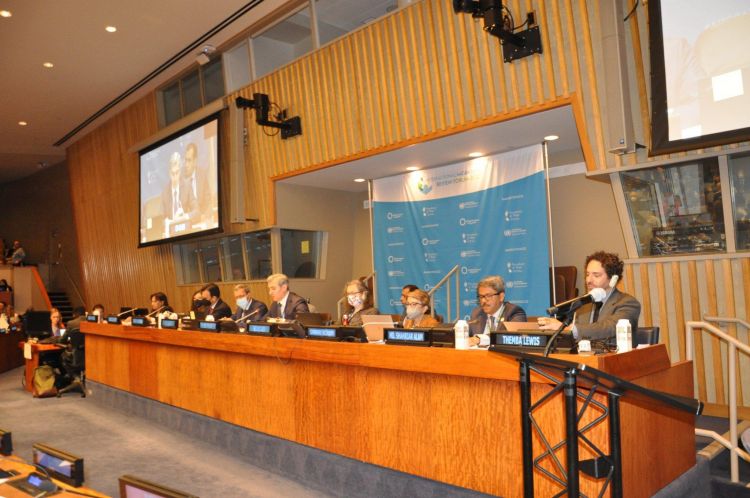Азербайджан председательствовал на круглом столе в рамках Международного форума по обзору миграции - ФОТО